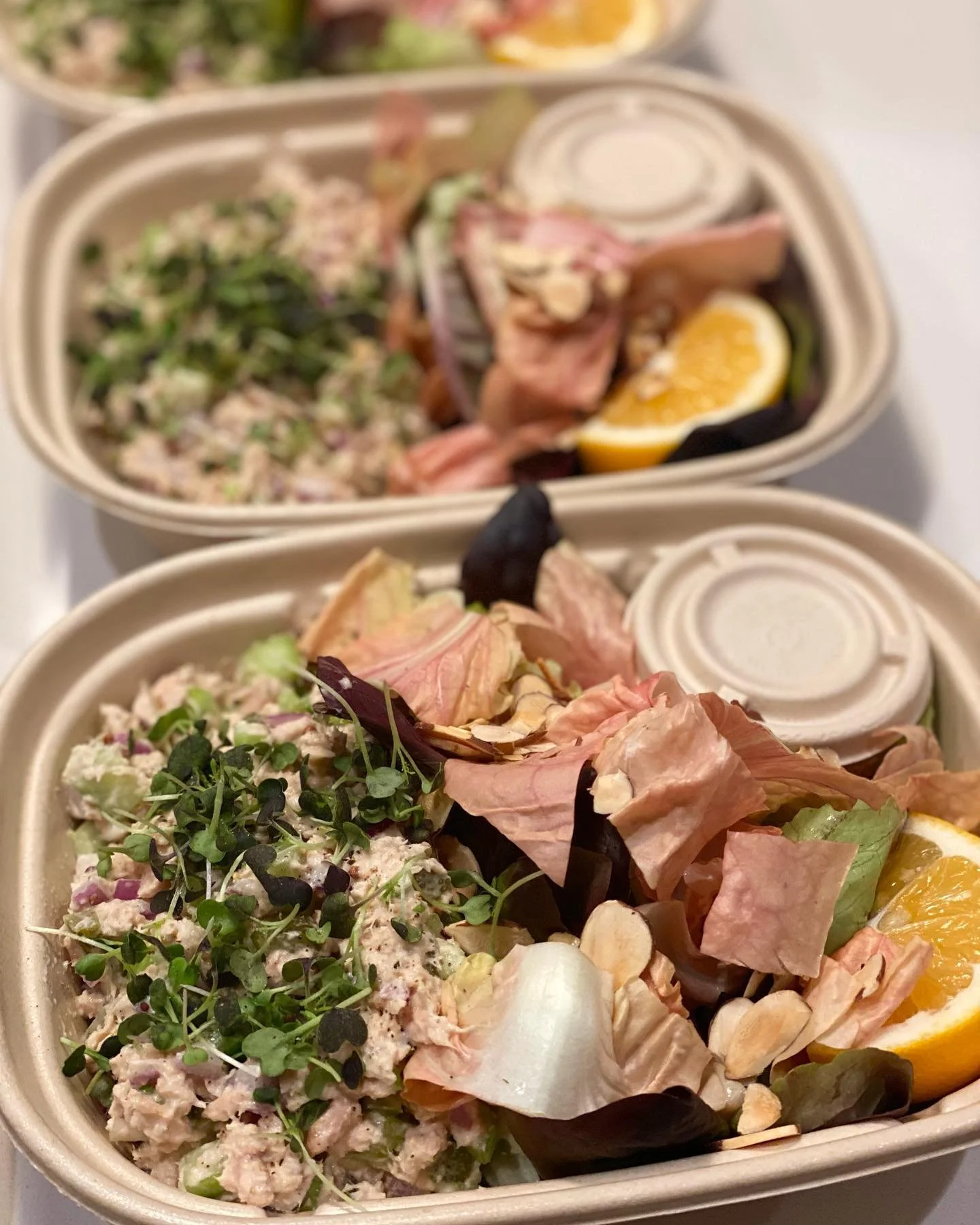 Albacore tuna salad with bitter and peppery pink radicchio, butter lettuce, micro greens, toasted slivered almond, Meyer lemon, and sweet honey mustard dressing 🍯