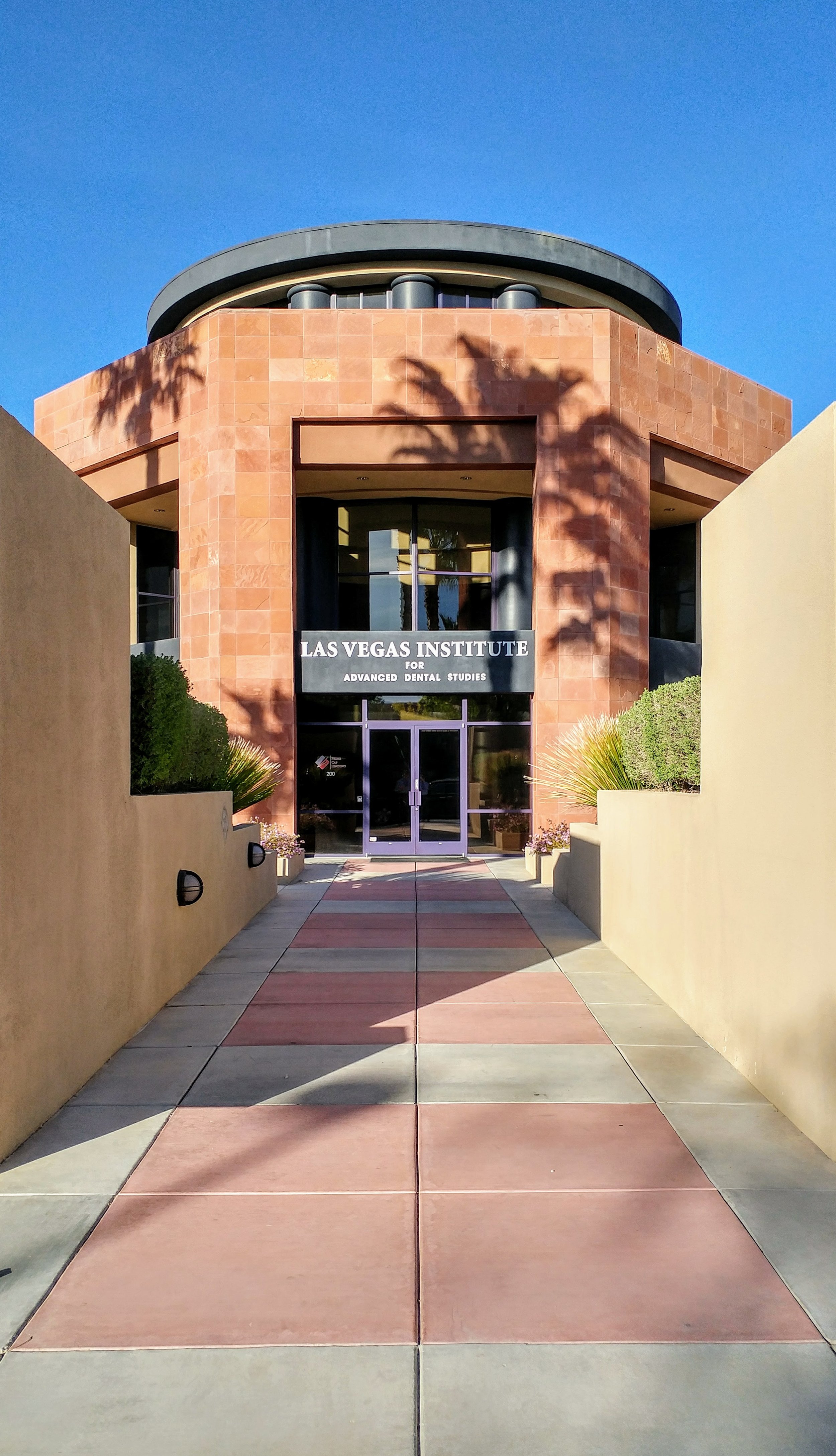 LVI Fellow Dr. Randi Green at the Las Vegas Institute, for Advanced Dental Studies on a Spring day before advanced training begins.