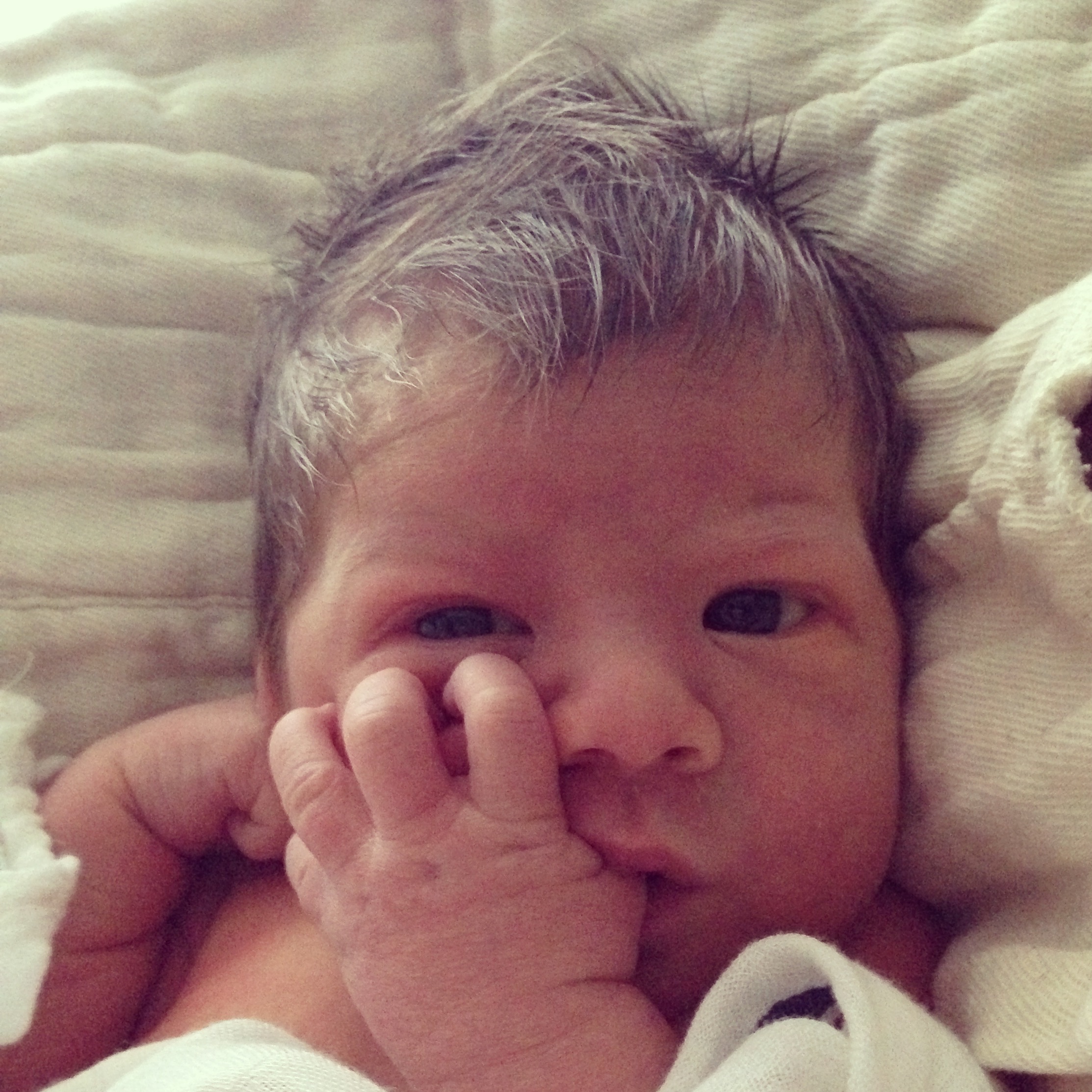 Baby Knox born at NYU in Manhattan