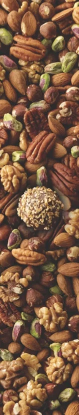 Nut Flight Sleeve – Final Image
