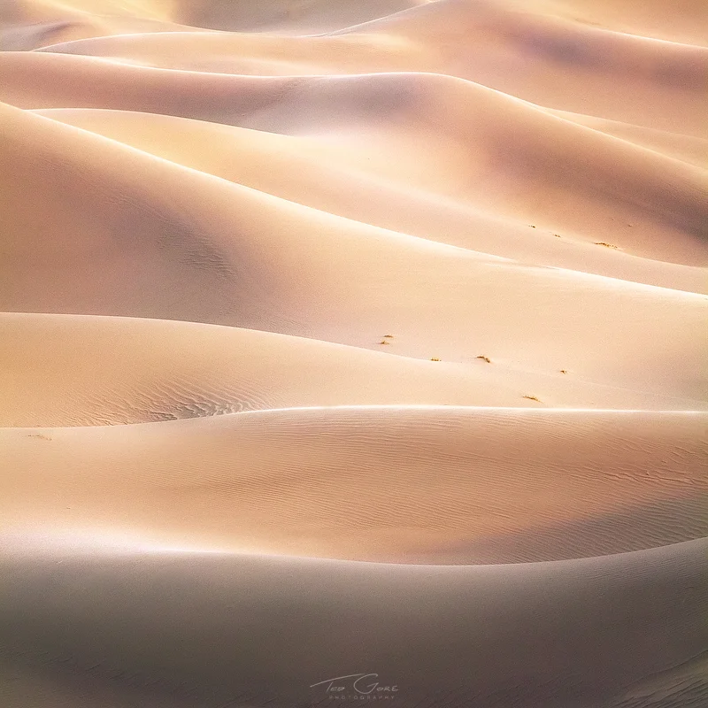 Diffracted Dunes