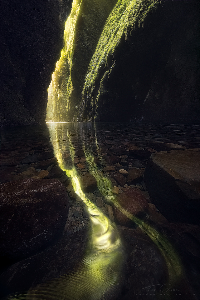 Flection