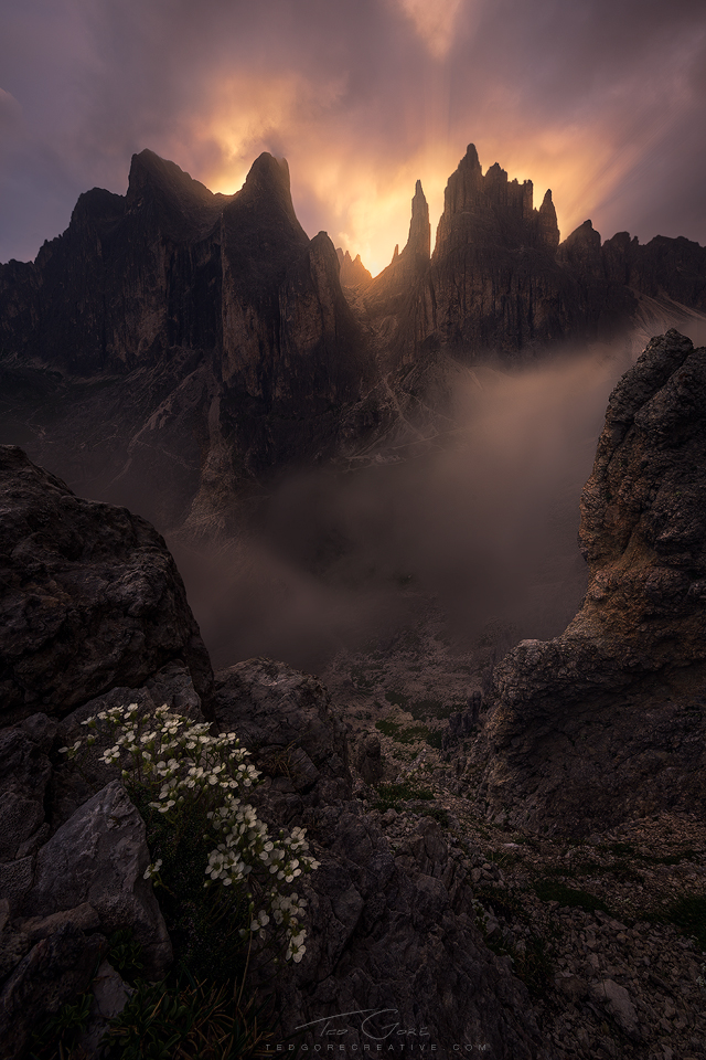 Crown of Nasgûl