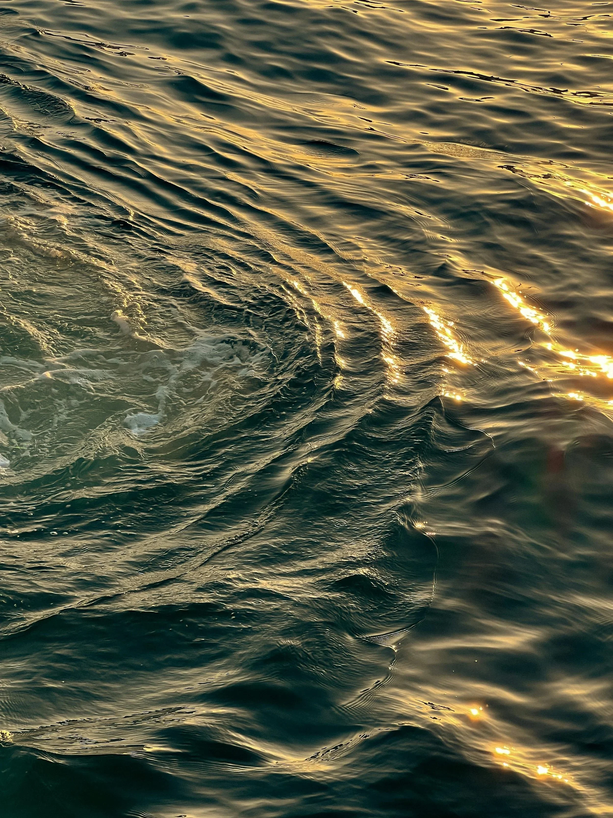 THE INNER SEA