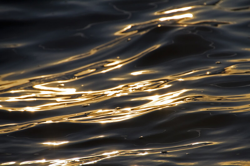 goldenwaves.jpg