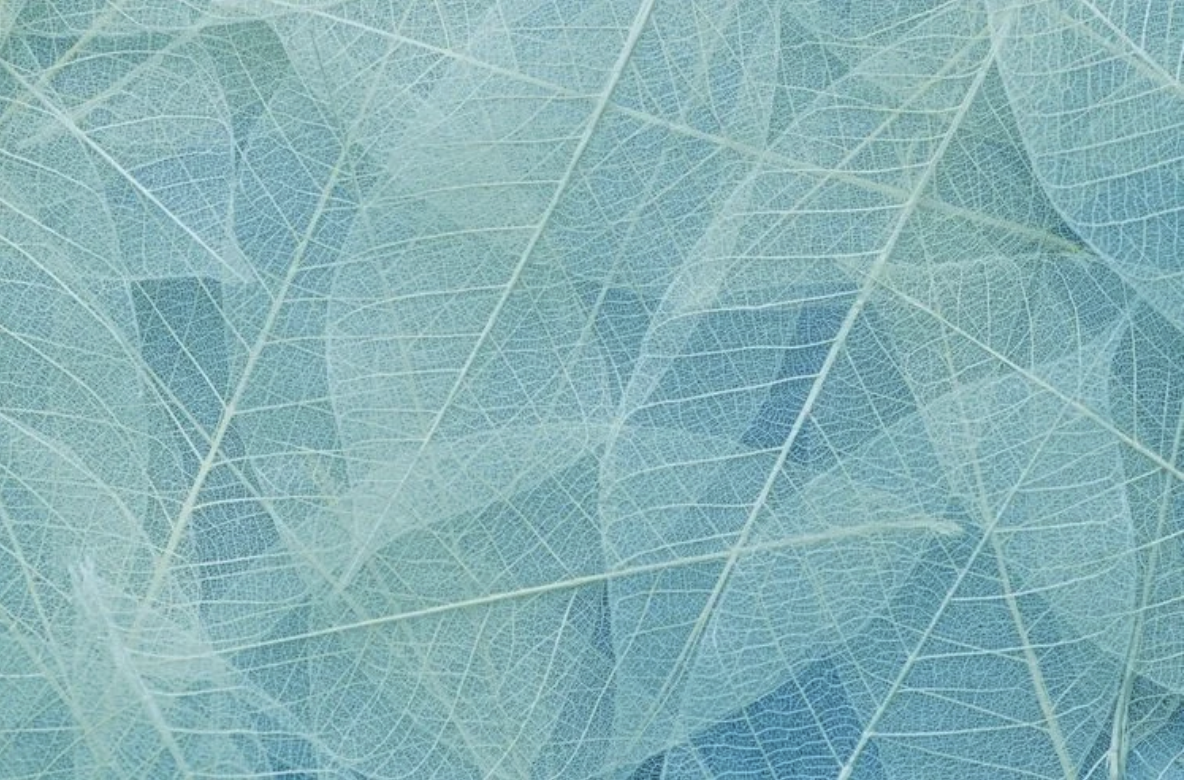 Screenshot 2026-07-24 at 1.55.46 PM.png