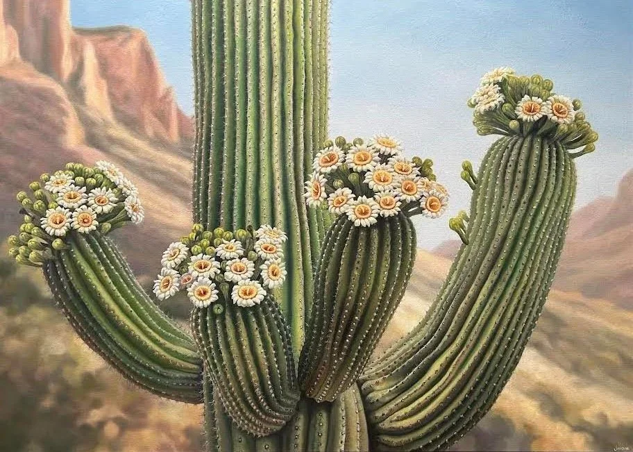 Flowering+Saguaro_Oil+on+Canvas_+Jardine.webp