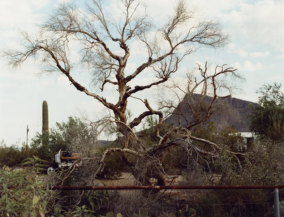 Daniels_Rachel_2Gates Pass.jpg