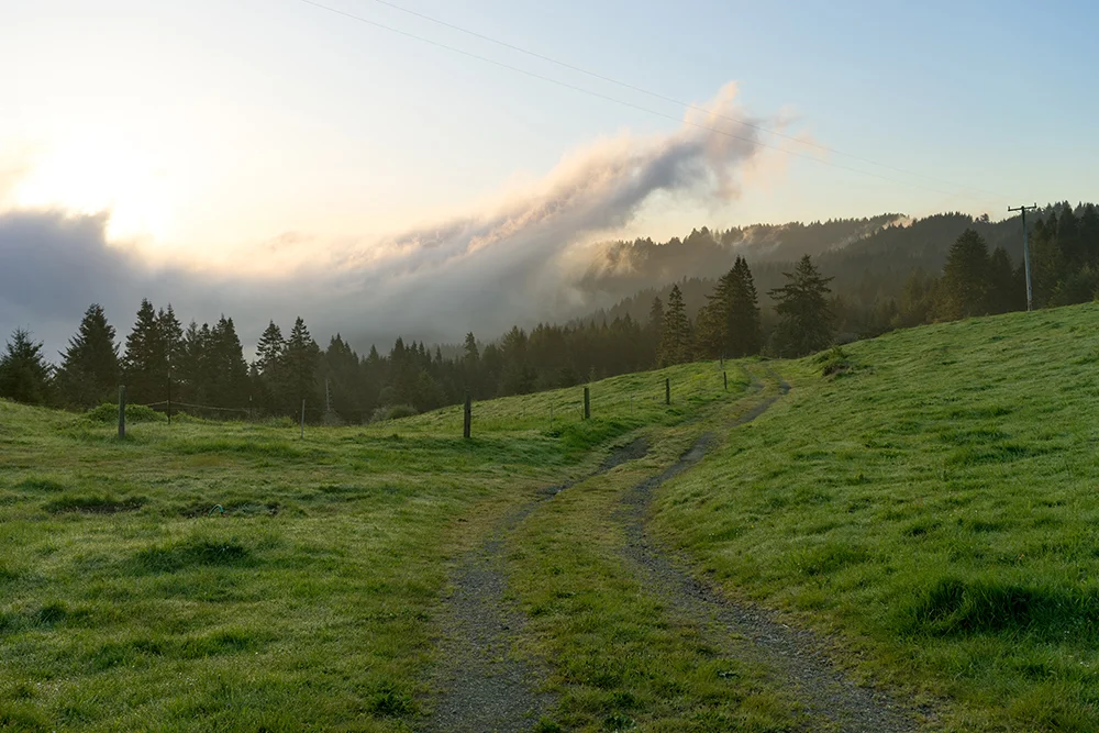 02_Rise, Mattole Valley_2015.JPG