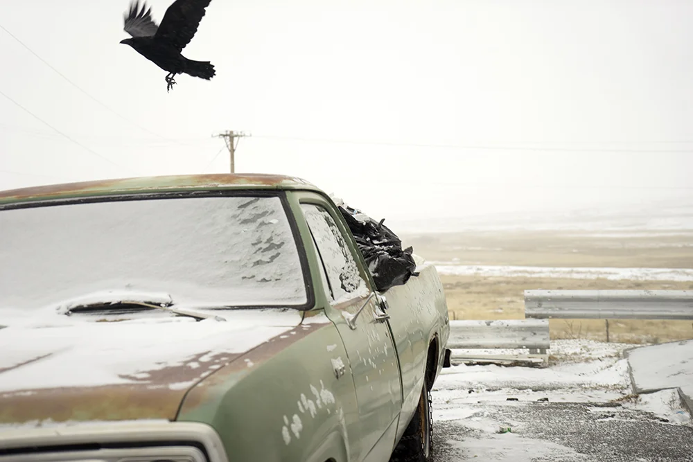 17_Message, Colorado_2014.JPG