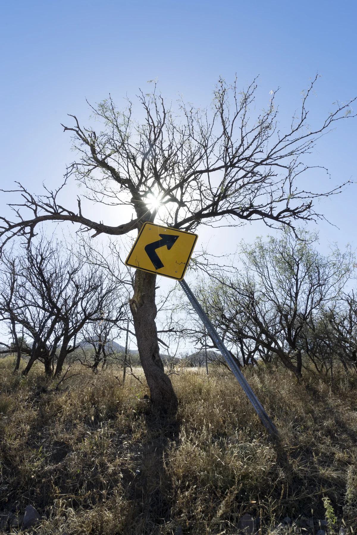 06_Detour, Arivaca_2014.JPG