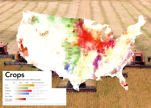 ...and to the mono-crop culture, that with its GMO's plantations, is changing our bodies and destroying our soil...