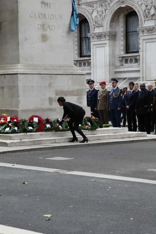 Laying a wreath to commemorate fallen peacekeepers on the International Day of UN Peacekeepers, May 2014 © UNA-UK