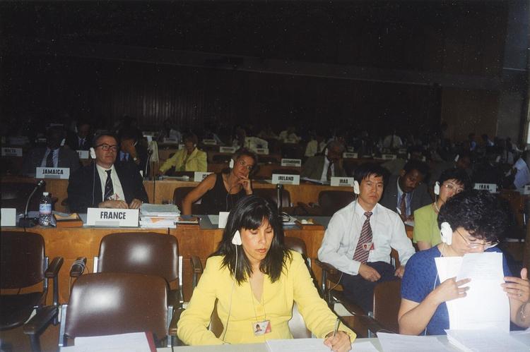 Legal Adviser to the State Delegation of Comoros, negotiating the Rome Statute at the Diplomatic Conference to Establish the International Criminal Court in Rome