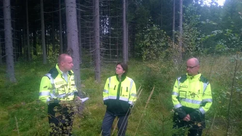 Exploring the Finnish forest industry