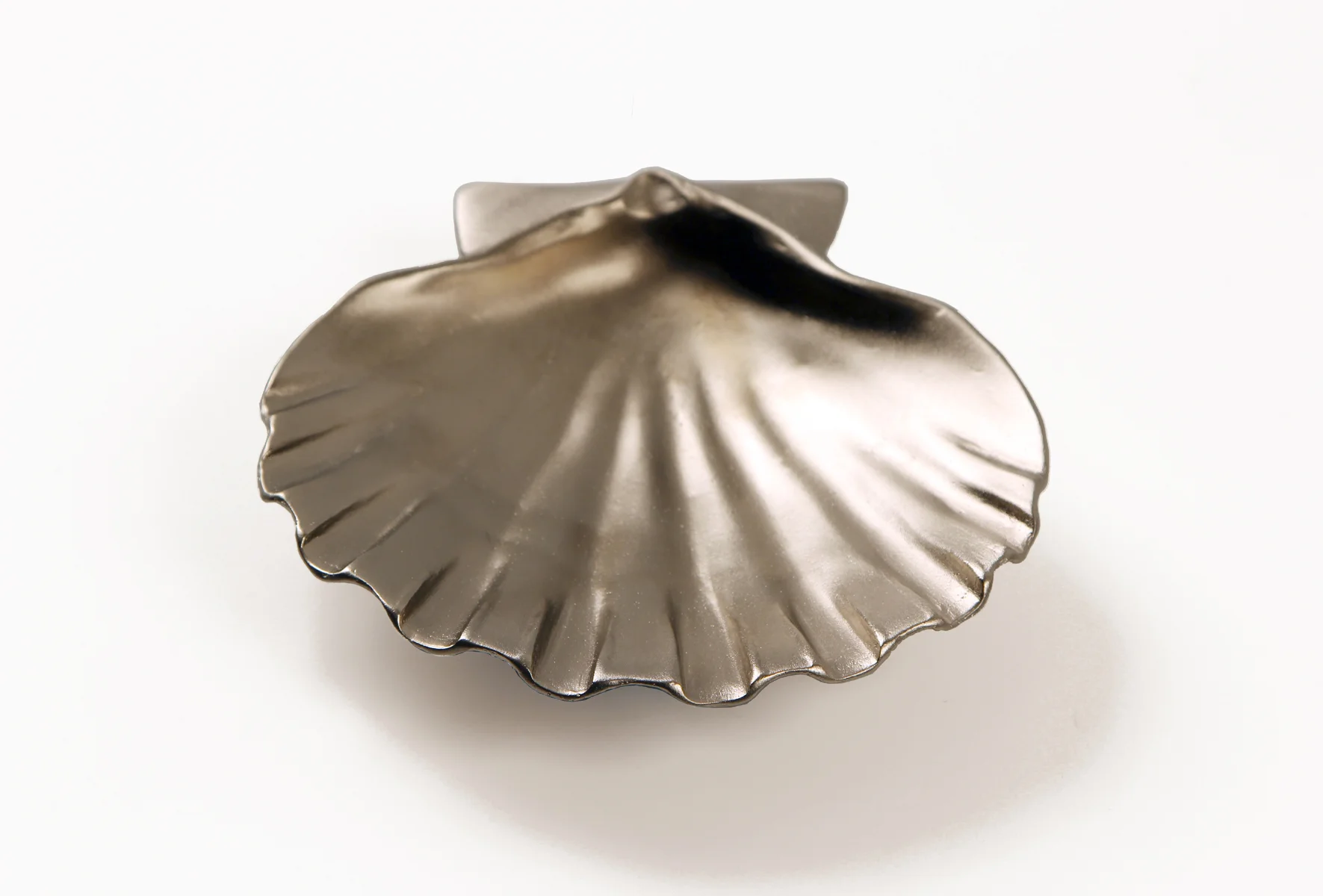 Scallop Shell Solo 200.jpg