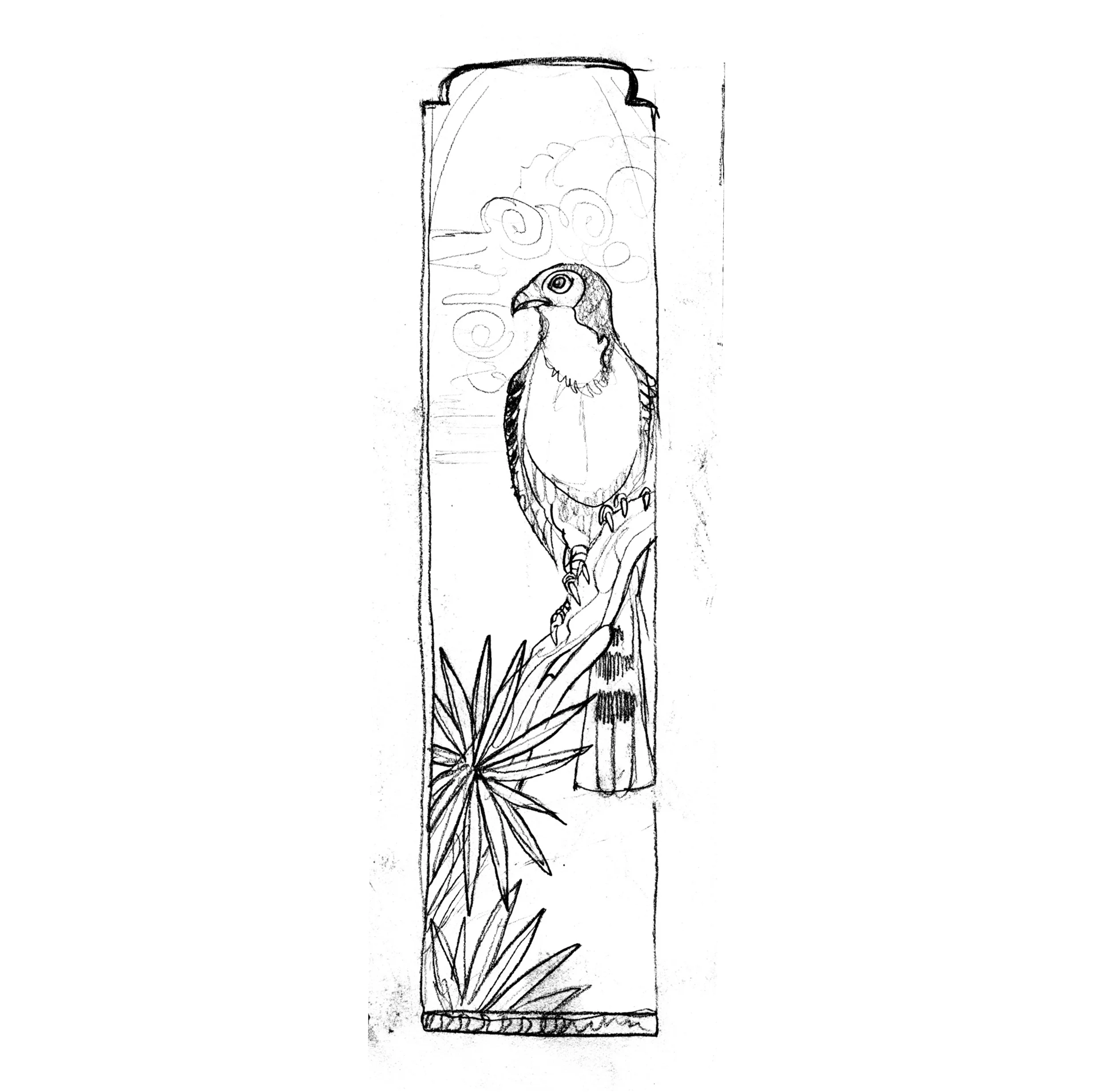 Falcon drawing.jpg