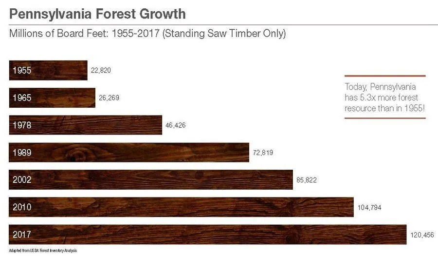 Pennsylvania Hardwoods