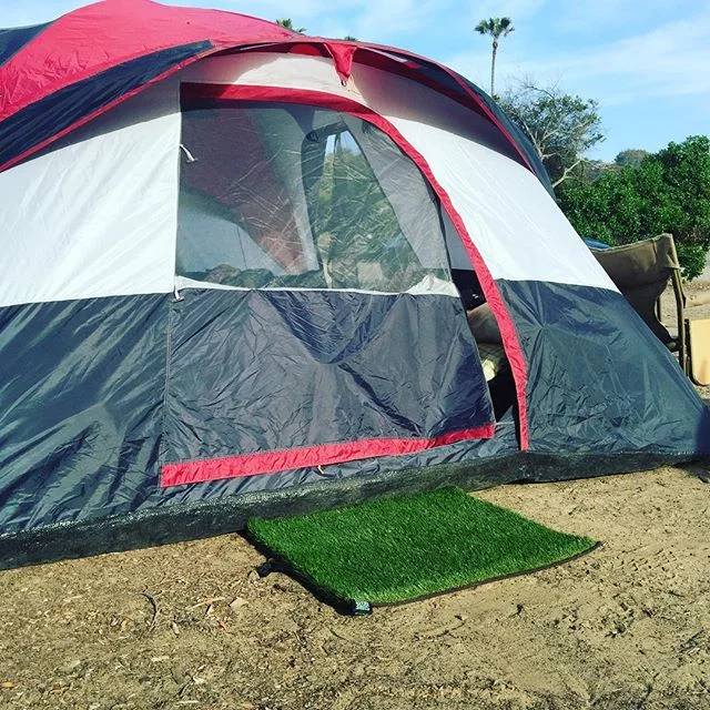 Best kind of hotel room. Keep it clean with #surfgrass