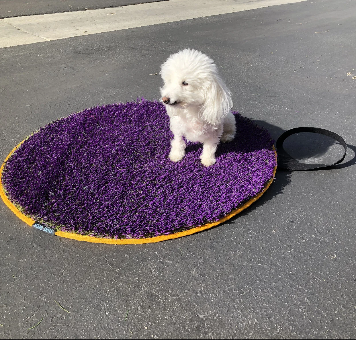 0E9BC7E2-4912-43CE-8DA5-0105B7C9C6B8