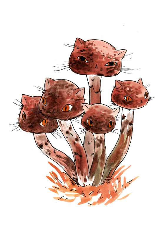 meowshrooms 2 print sm.jpg