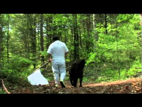 Excerpt 7 - Tick Drag