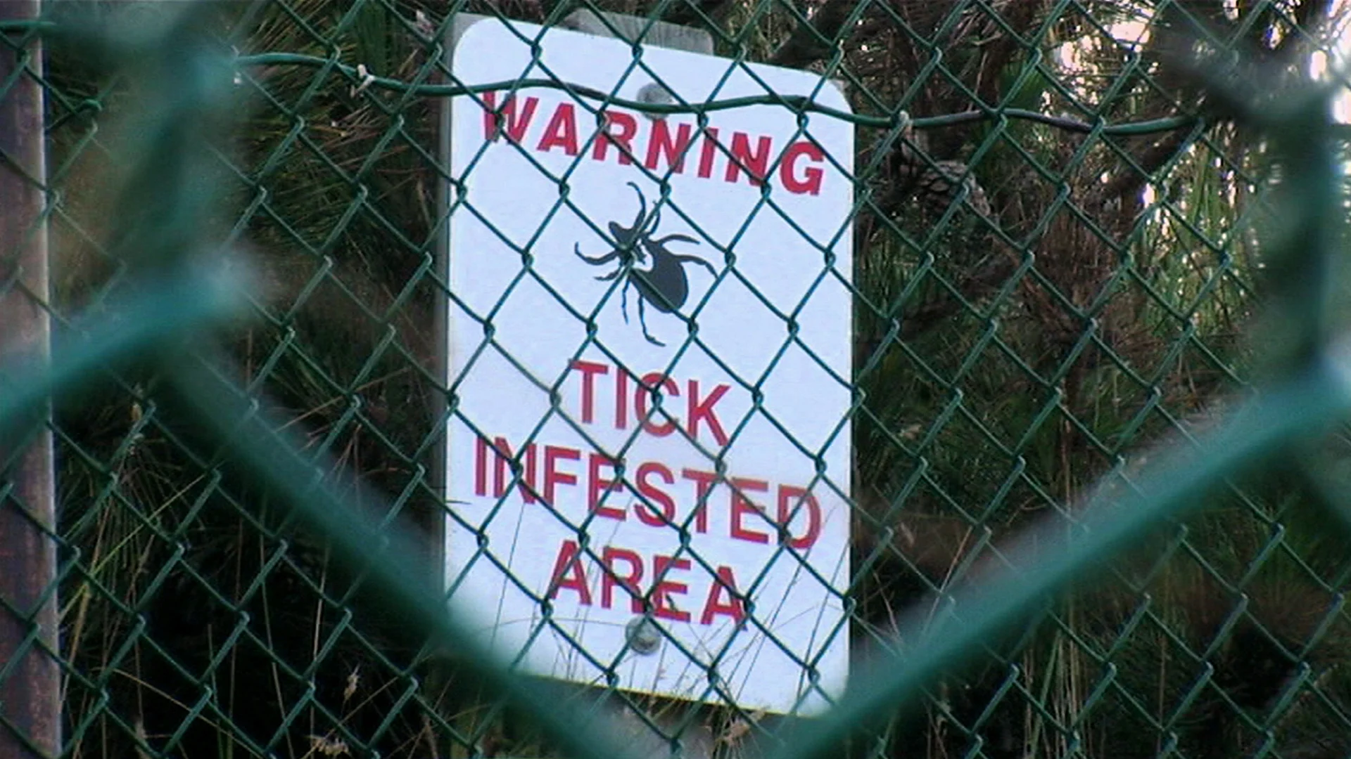 Warnings seem insufficient to halt the growing Lyme disease epidemic. From UNDER OUR SKIN, a film by Andy Abrahams Wilson.