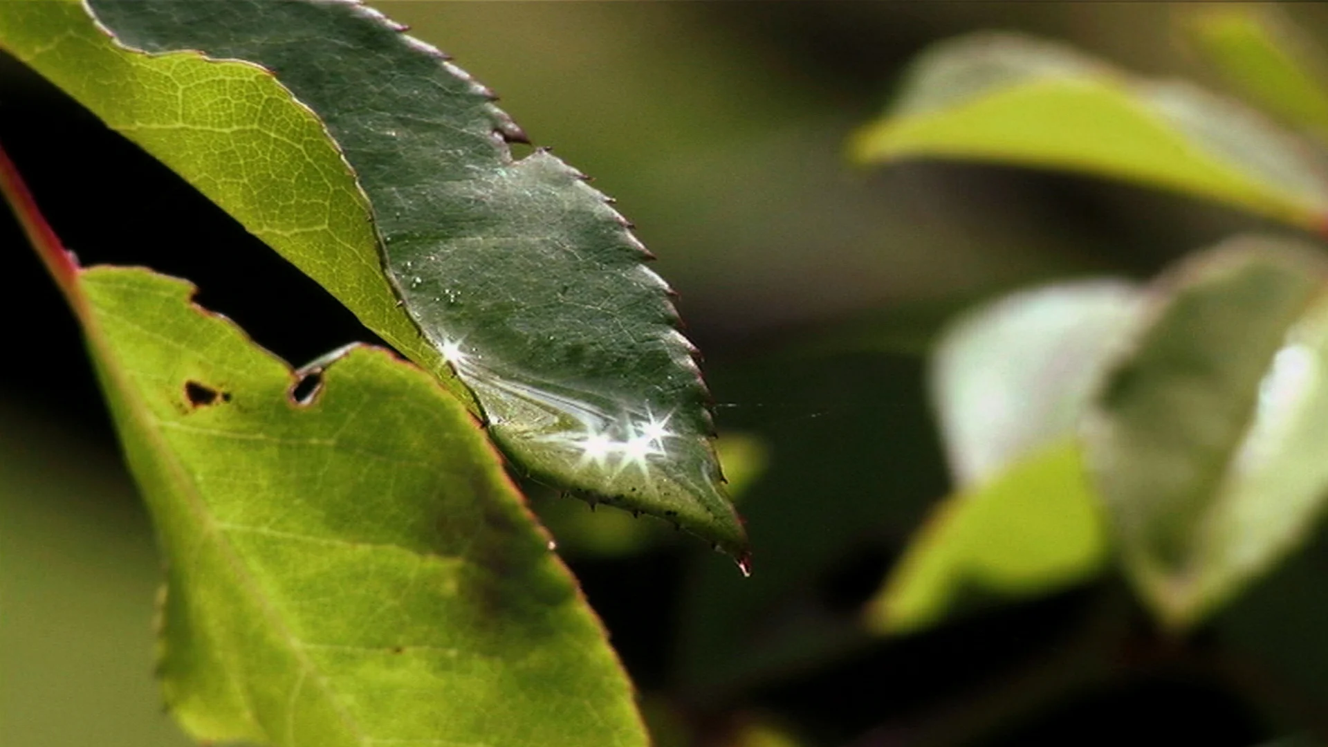 "We have a horrible epidemic," says one Lyme physician in UNDER OUR SKIN, a film by Andy Abrahams Wilson.