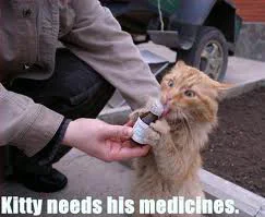 kitty_medicine