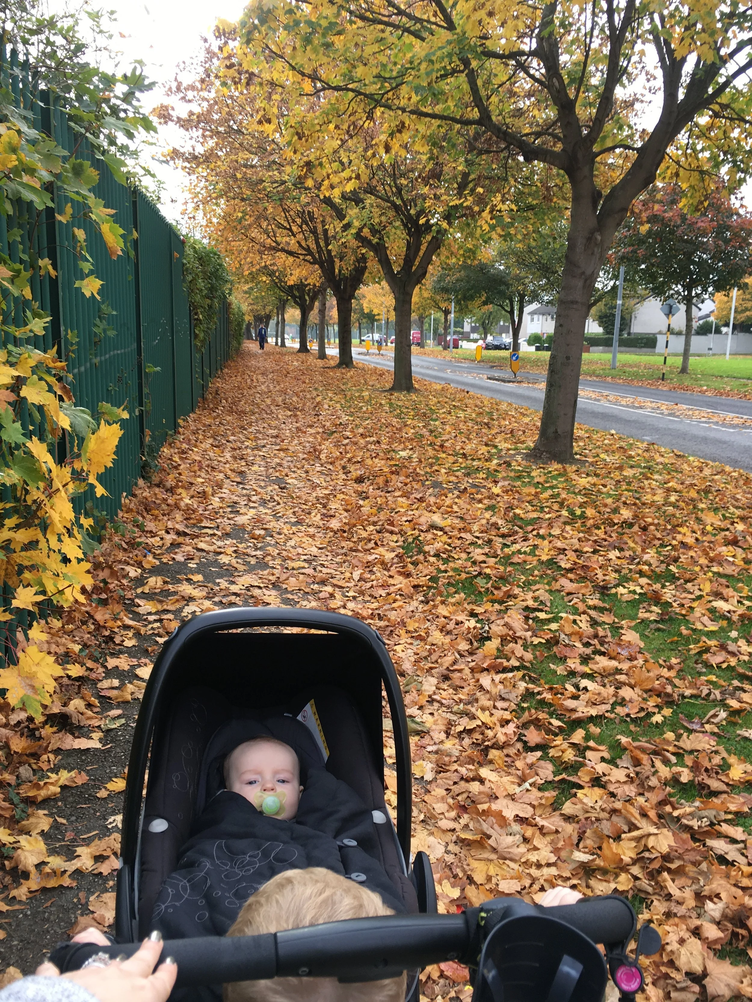 We went for an Autumn walk today!