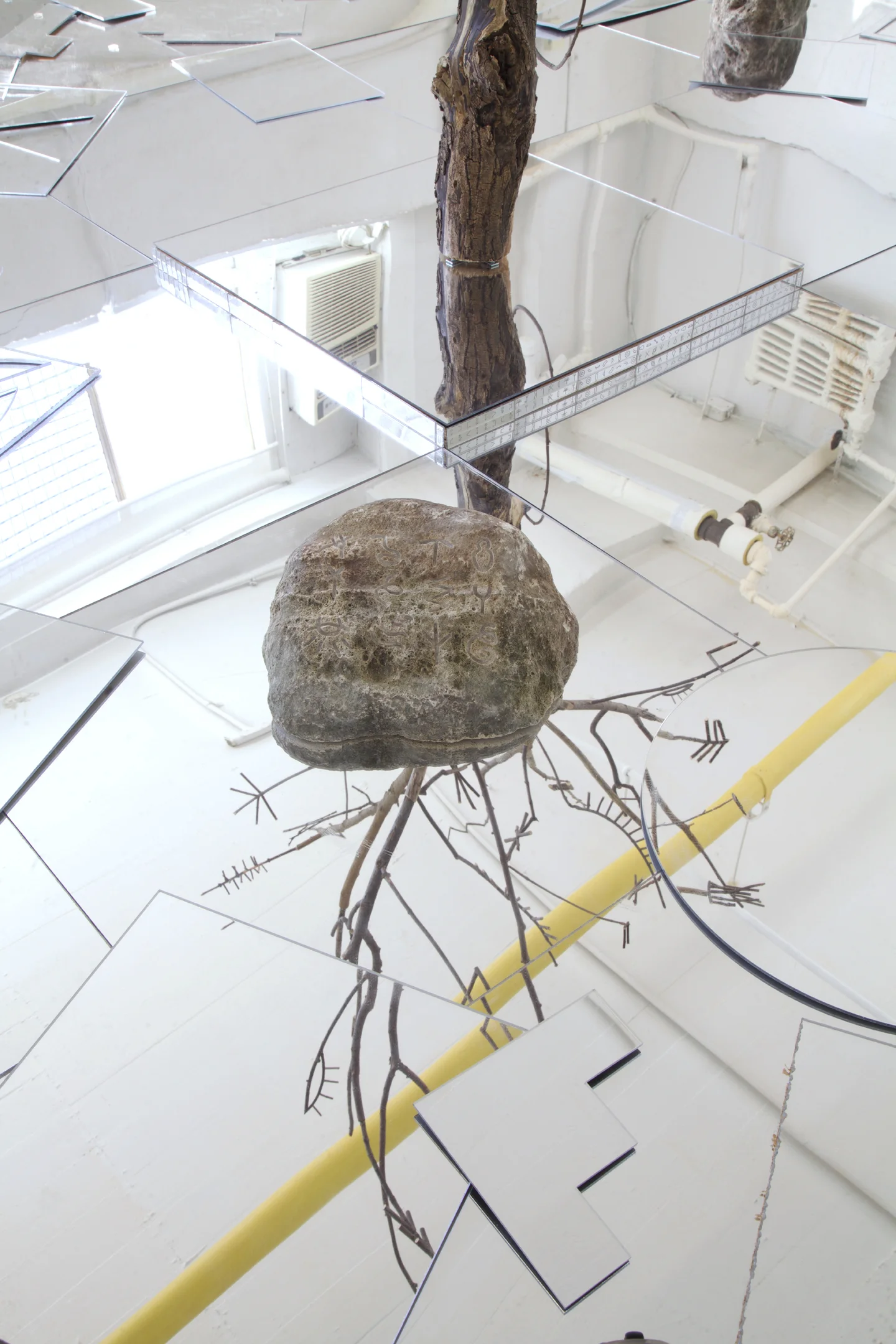 wires webs veins nerves roots stems 2018