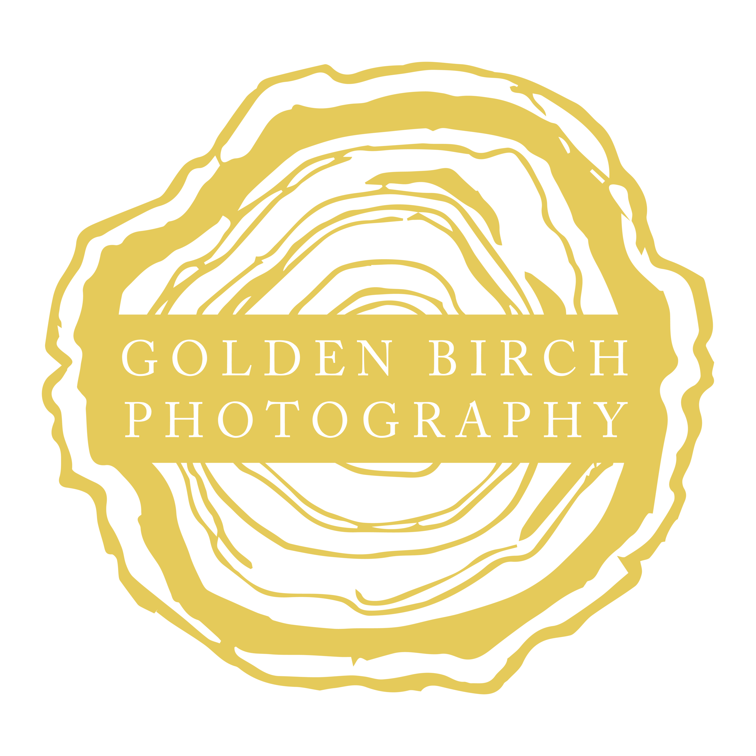 GBP Logo - Transparent Gold & Transparent Text.png