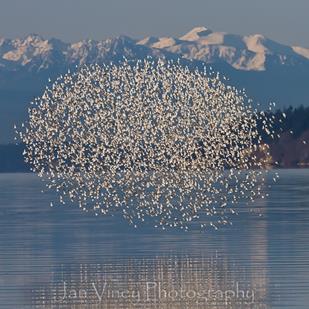 030912_0816_Catchingthe1.jpg