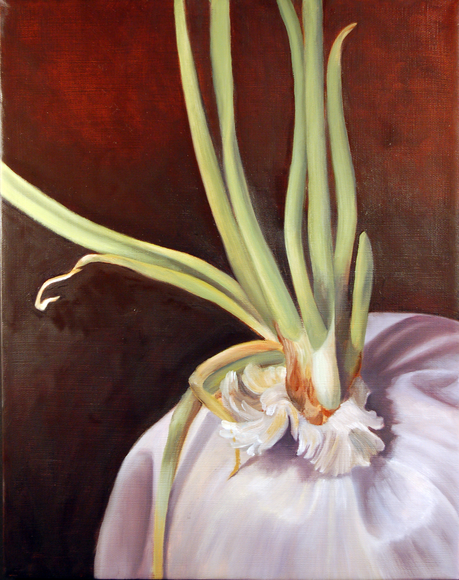 Ruminations on Mortality: Onion 3