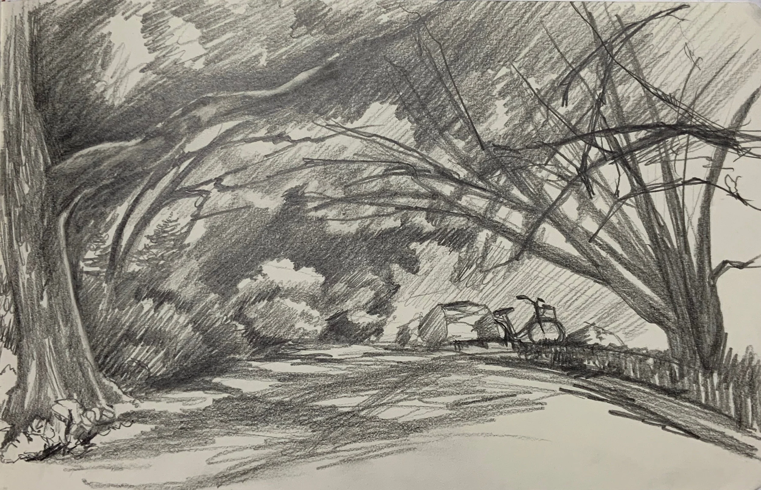 "Arboretum Sketch"