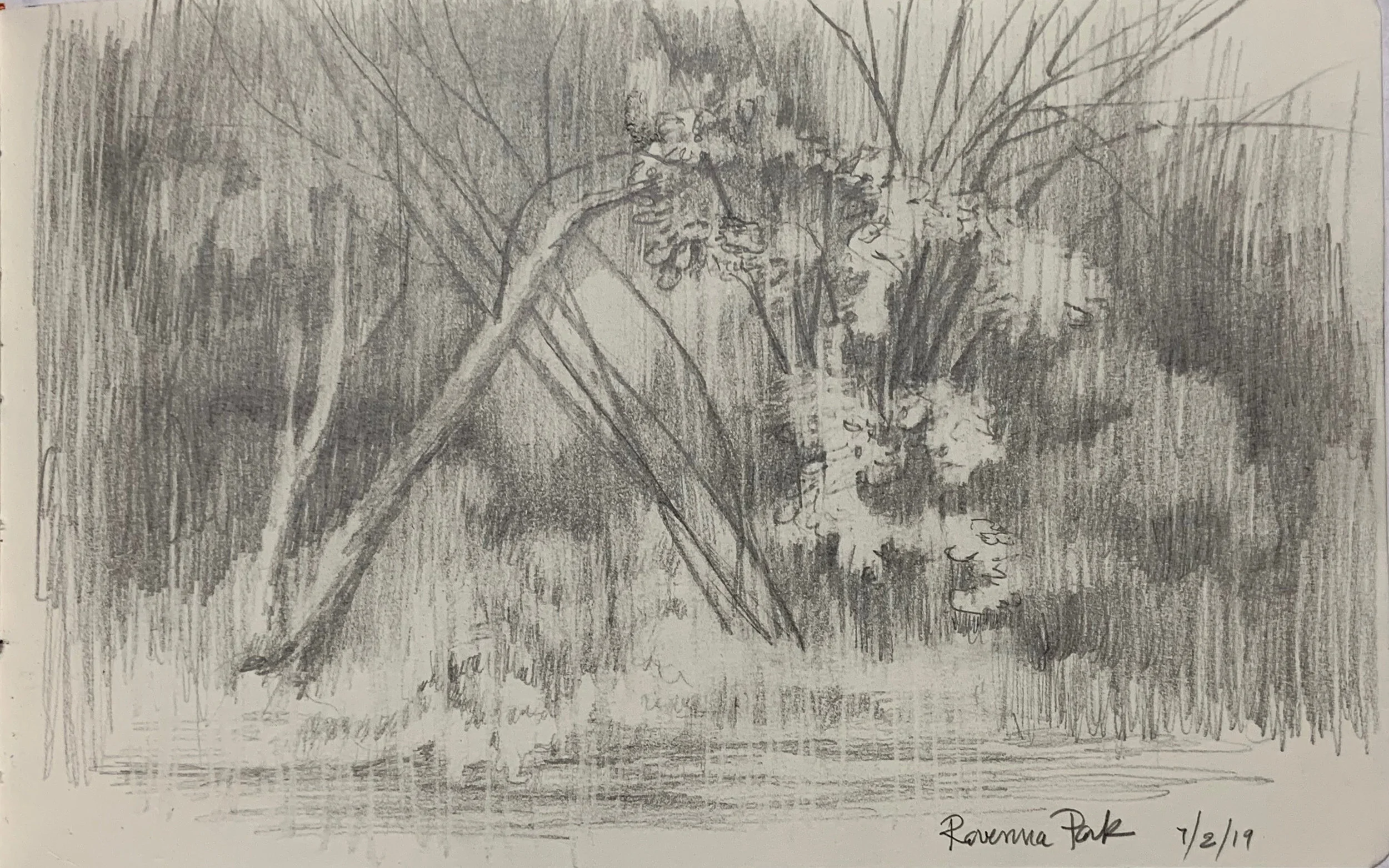 "Ravenna Park in Rain Sketch"
