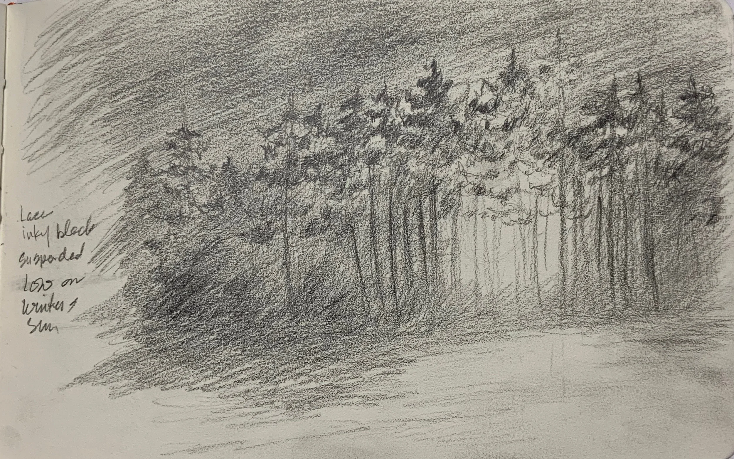 "Winter Sun Through Trees Sketch"