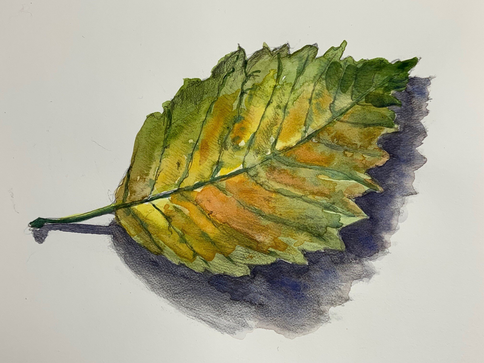 How to Draw a Leaf – Easy Step by Step Guide