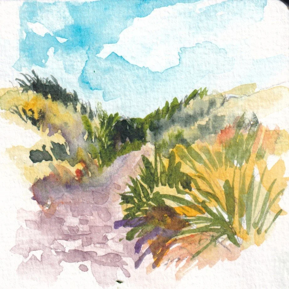 Late Summer Nature Sketchbook in Pencil, Ink & Watercolor