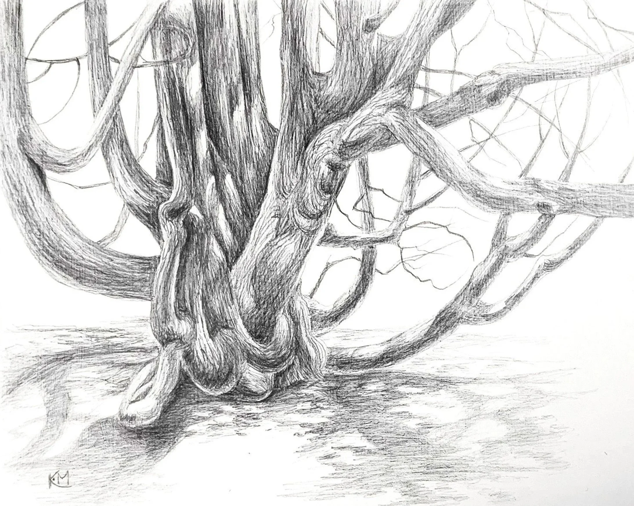 Drawing Trees - March 12