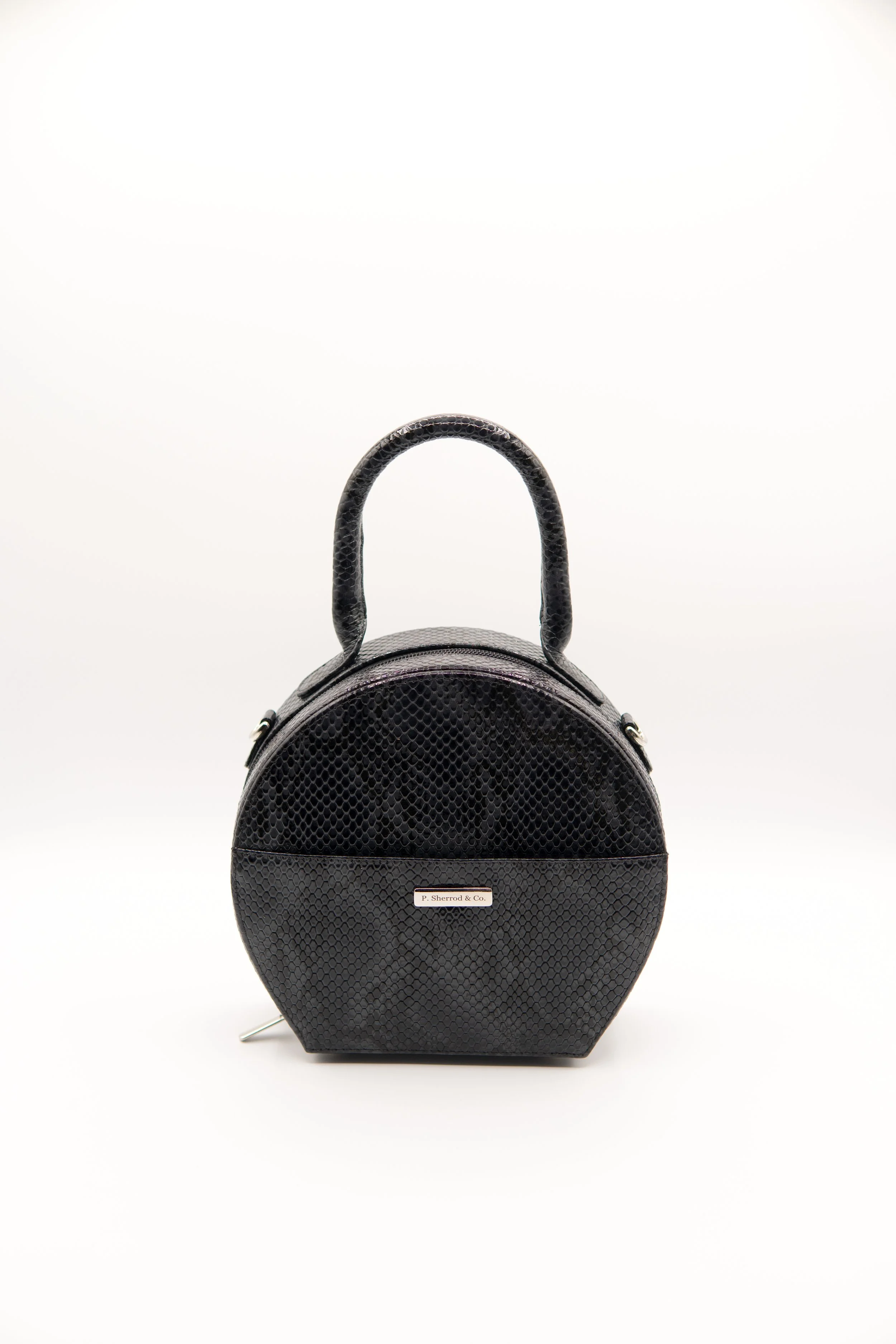 Bailey circle black snake.JPG