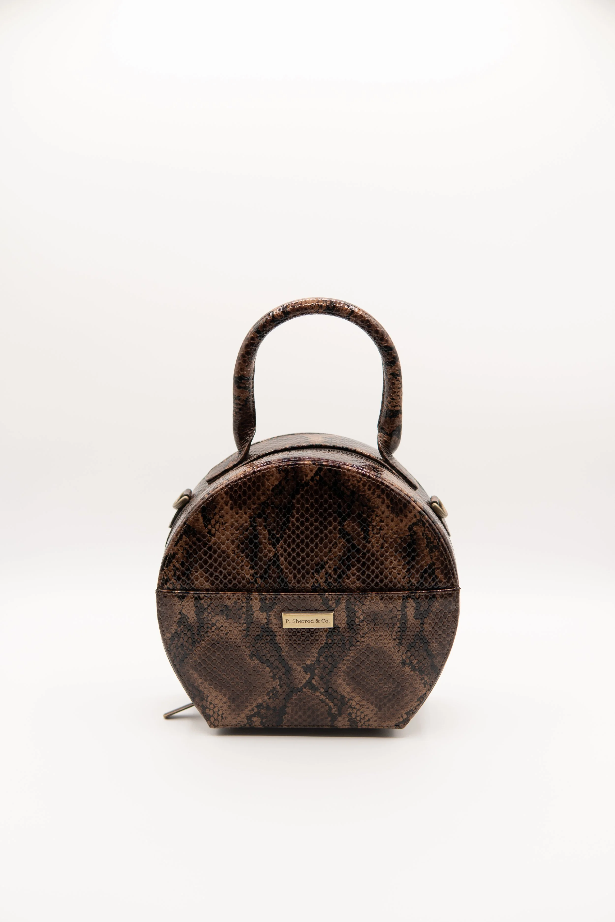 Bailey circle chocolate snake 2.JPG