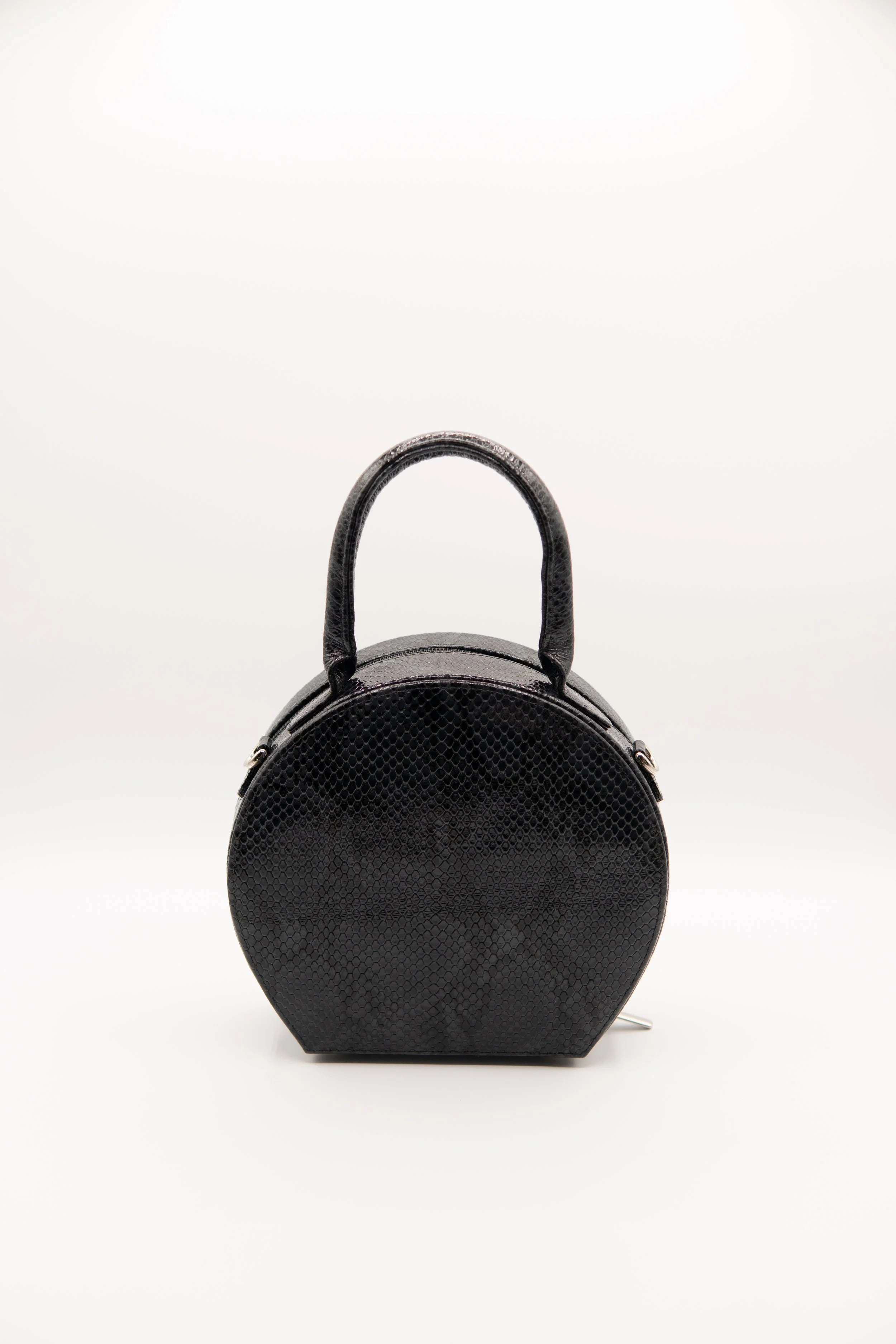 Bailey circle black snake 2.JPG