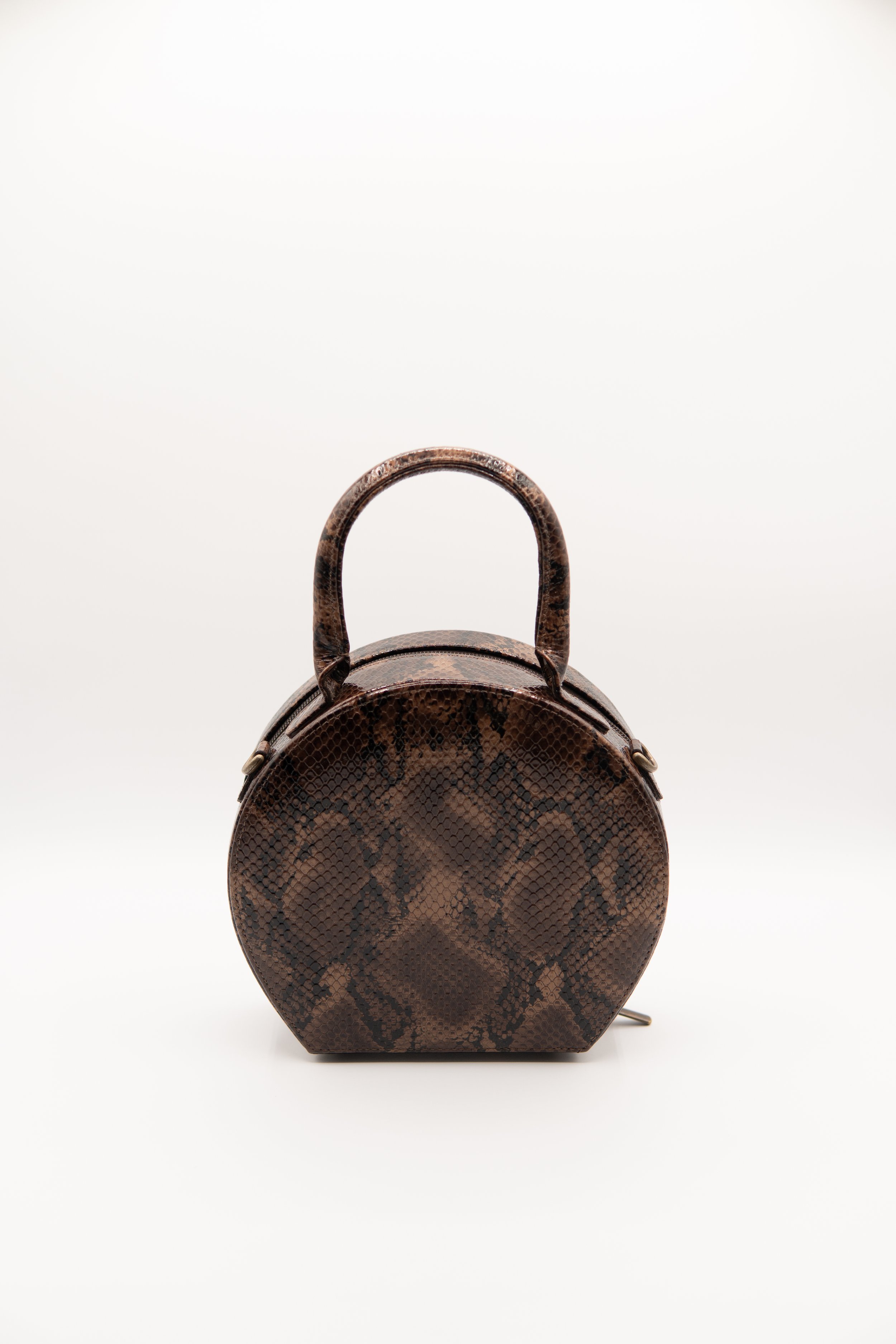 Bailey circle chocolate snake 3.JPG