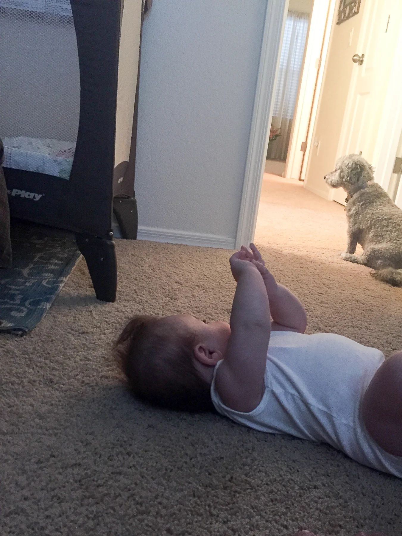 Oliver stood guard next to Lydia. She kept trying to reach out to him and pet him. I think we have a dog lover on our hands. Uh oh!