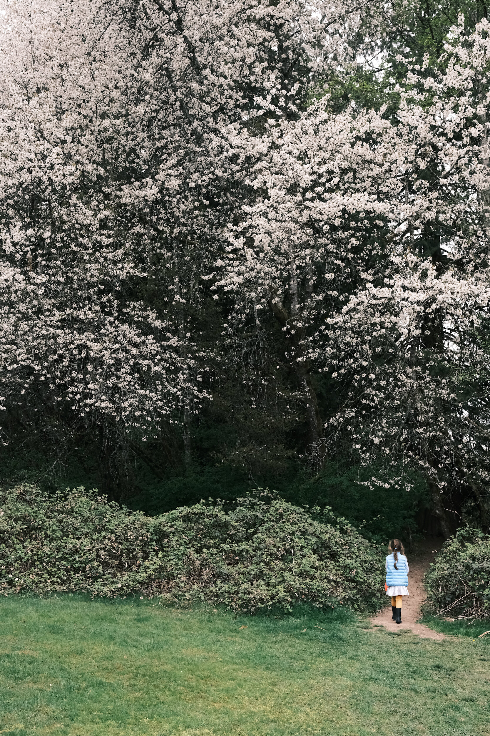 200419_X-Pro3_4370.jpeg