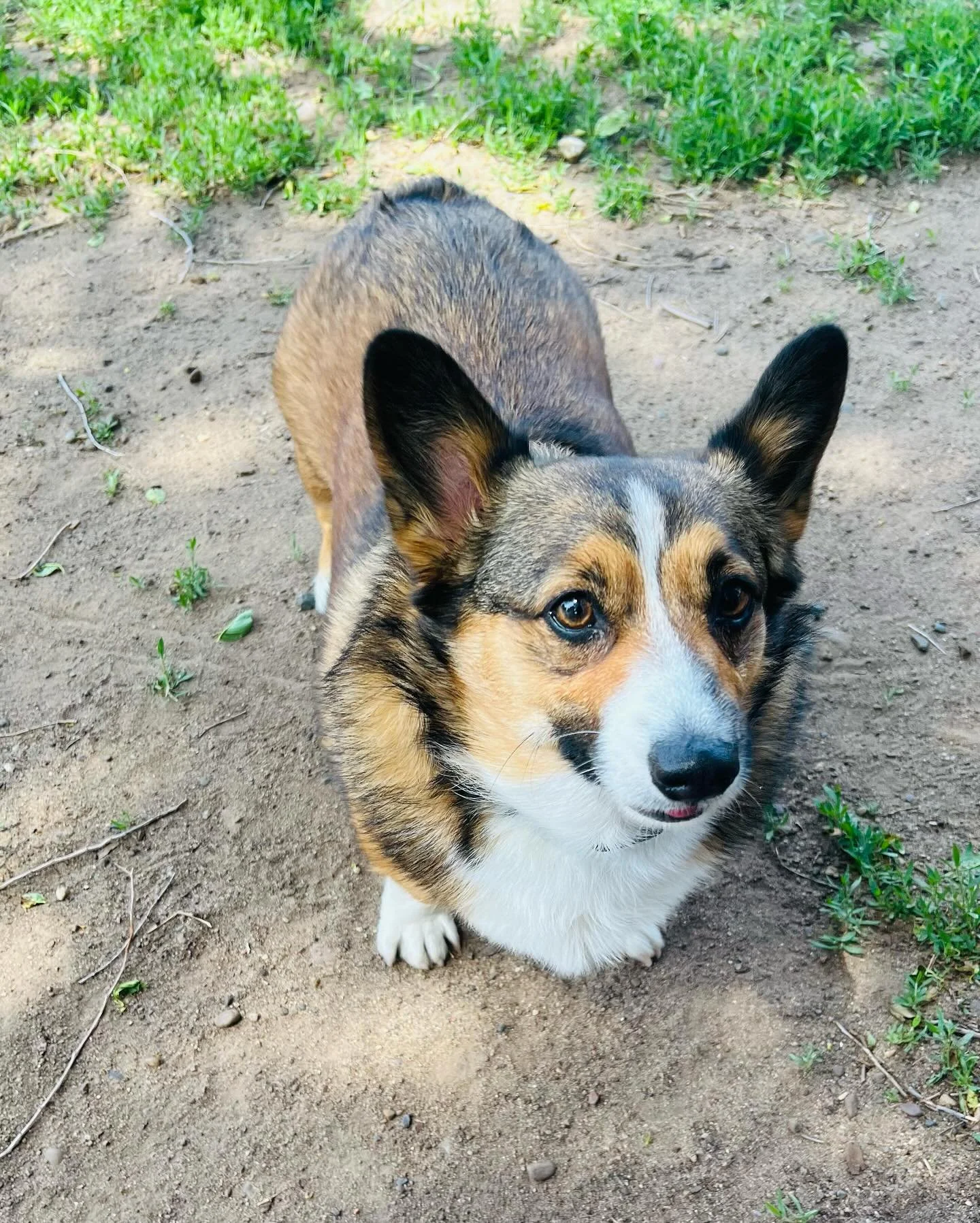 K9Playtime Dog Daycare and Boarding Kennel Hudson, Wisconsin/East