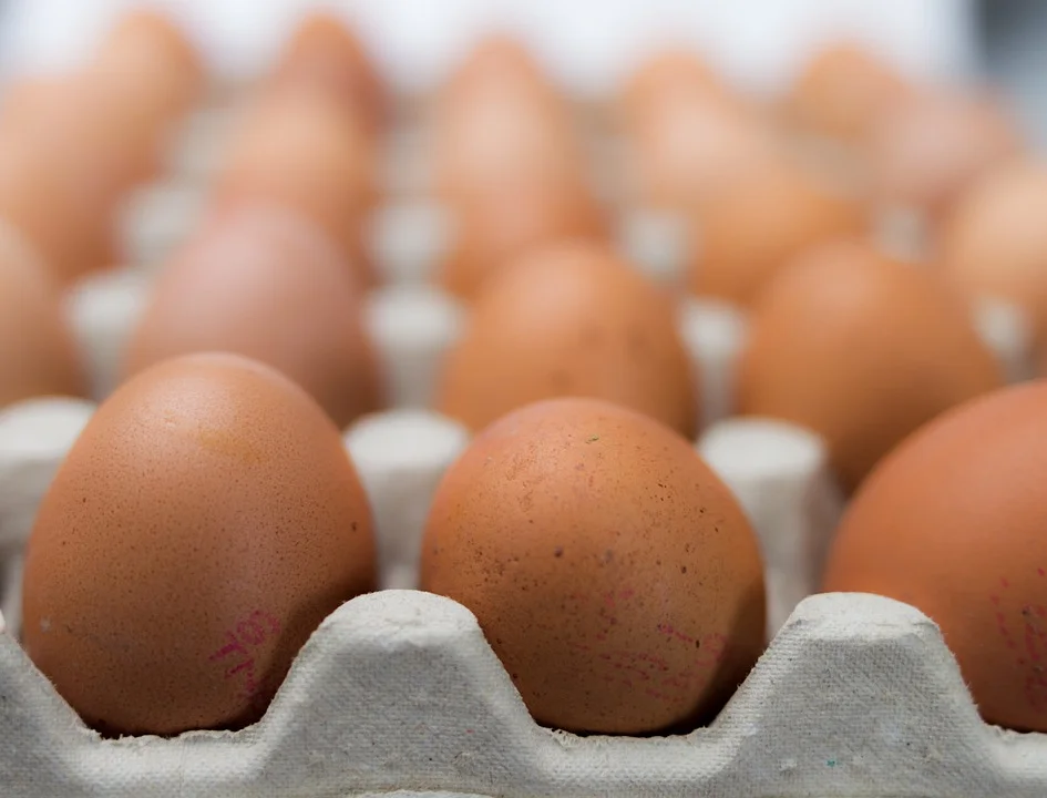 free range eggs uptown dallas texas state and allen.jpg