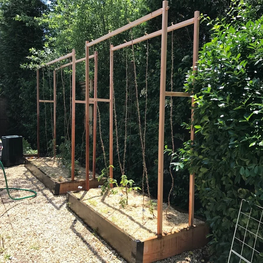  Beds with tomato trellis 