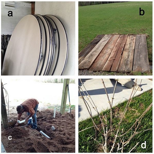 We are thrilled to now have (9) nine- 8ft round tables available to rent for your event (a). Also, other things are moving along. A new bridge that is able to handle Rosy ( the mower) (b). The plumbing is in for our new bathrooms (c). And all 12 of our hydrangeas have buds (d). Happy, happy days.